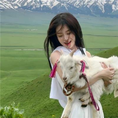 阿丽塔:战斗天使